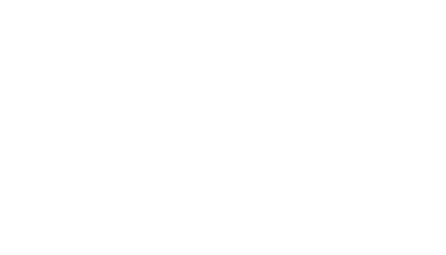 Meguiar's